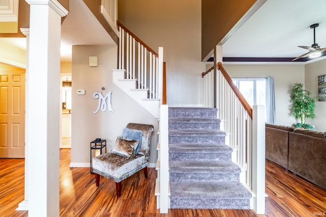 staircase with ceiling fan and wood-type flooring