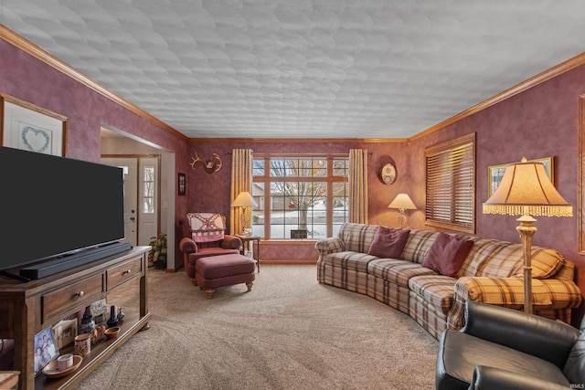 carpeted living room with crown molding and a textured ceiling