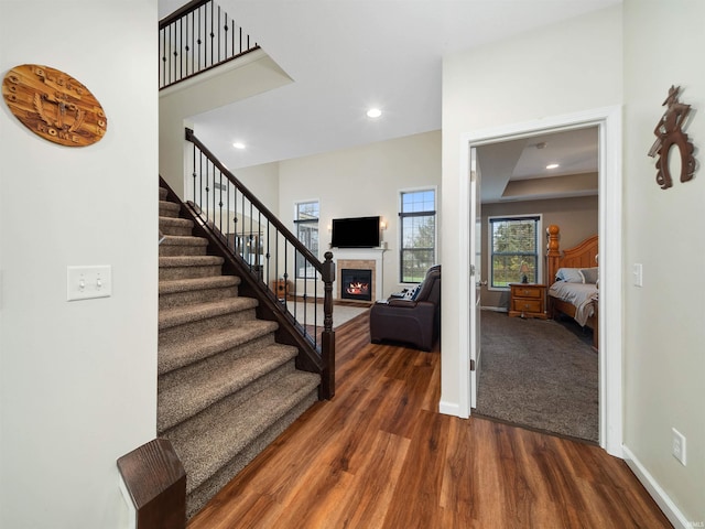 entryway featuring dark hardwood / wood-style floors