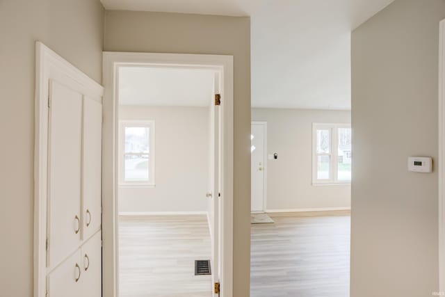 hallway featuring light hardwood / wood-style floors and a healthy amount of sunlight