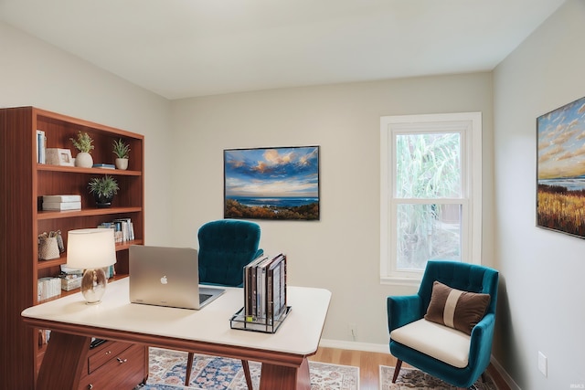 office area featuring light hardwood / wood-style floors