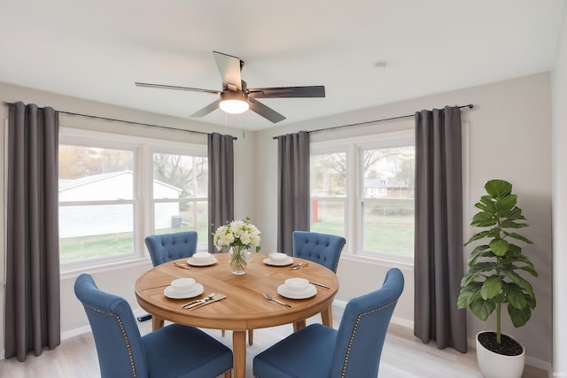 dining space with ceiling fan and light hardwood / wood-style floors