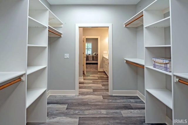 spacious closet featuring dark wood-type flooring