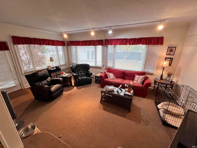 living room featuring carpet flooring, rail lighting, and a textured ceiling