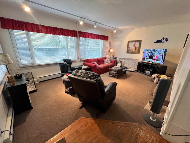 living room with carpet floors, rail lighting, and a baseboard radiator