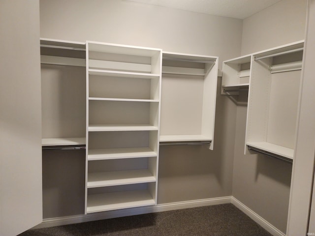 walk in closet with carpet flooring