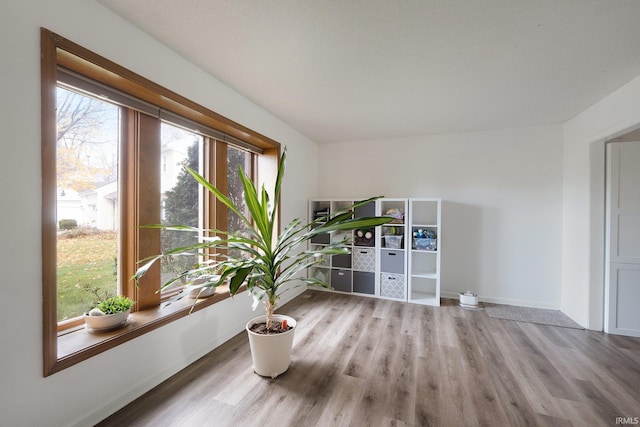 unfurnished room with hardwood / wood-style floors