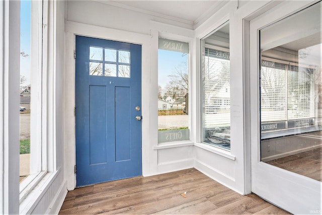 foyer entrance with wood-type flooring