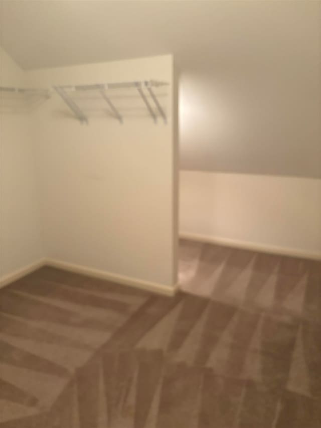 walk in closet featuring carpet flooring and vaulted ceiling