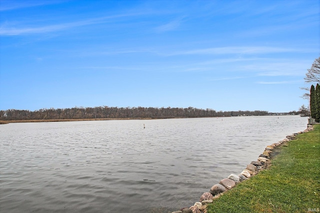 property view of water