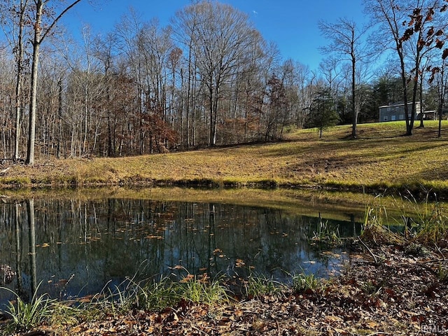 view of water feature