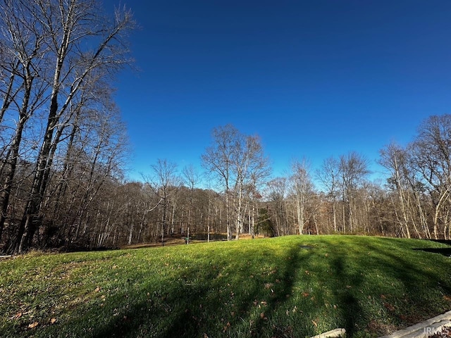 view of local wilderness