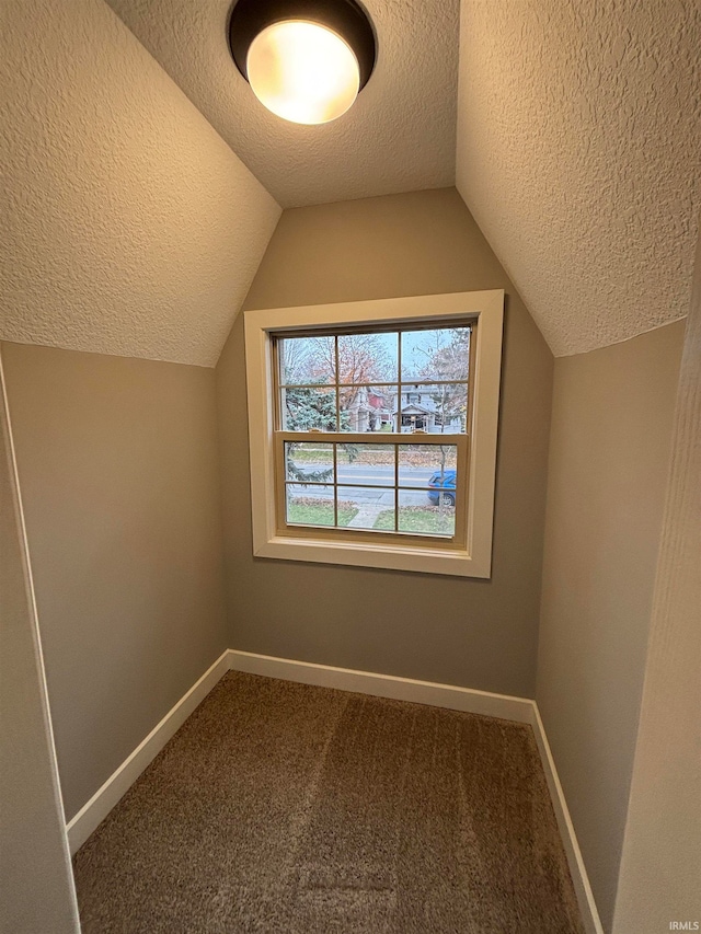 additional living space with vaulted ceiling, carpet floors, and a textured ceiling