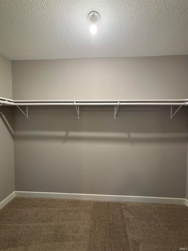 spacious closet featuring carpet flooring