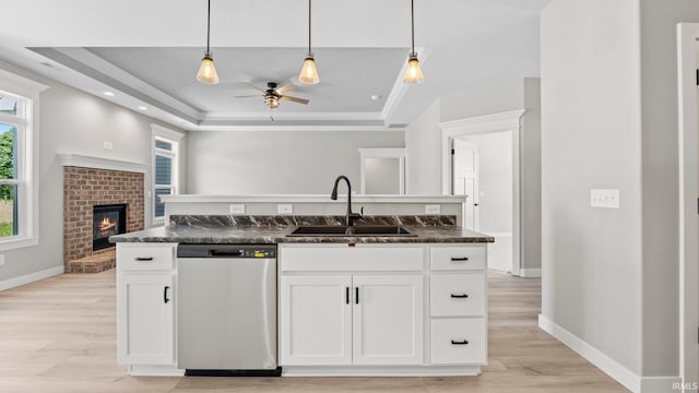 kitchen with a tray ceiling, white cabinetry, sink, and stainless steel dishwasher