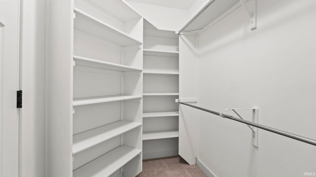 walk in closet featuring light colored carpet