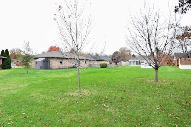 view of yard featuring a shed