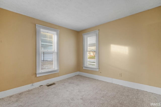 carpeted empty room featuring a healthy amount of sunlight and a textured ceiling