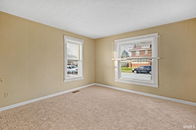 spare room featuring carpet floors and wood walls