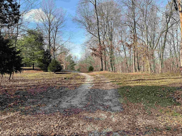 Listing photo 3 for 3100BLOCK Straight Line Rd, Freedom IN 47431