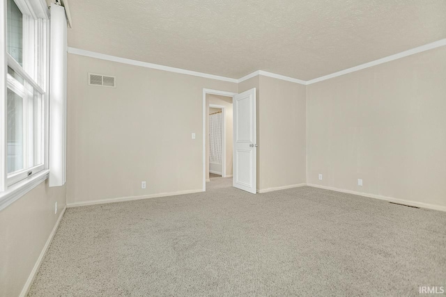 empty room with carpet flooring, crown molding, and a textured ceiling