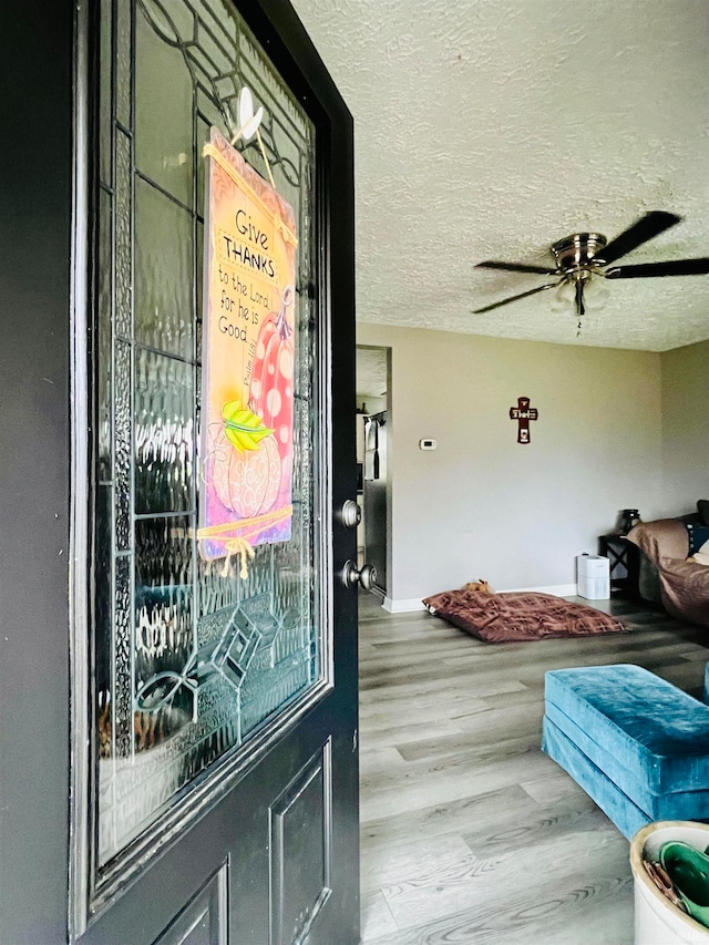 entrance to property featuring ceiling fan