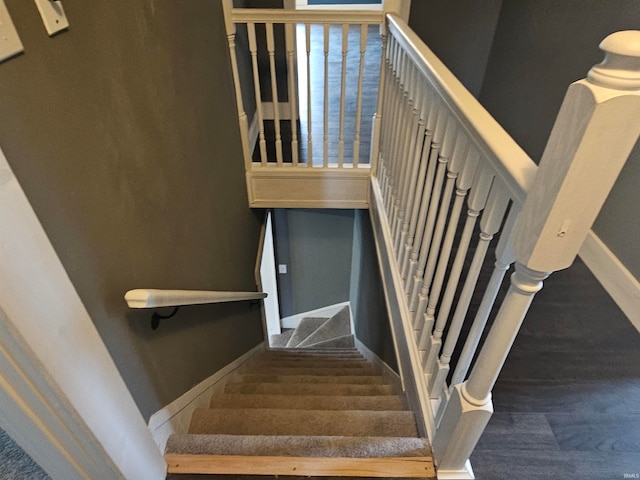 staircase featuring wood-type flooring