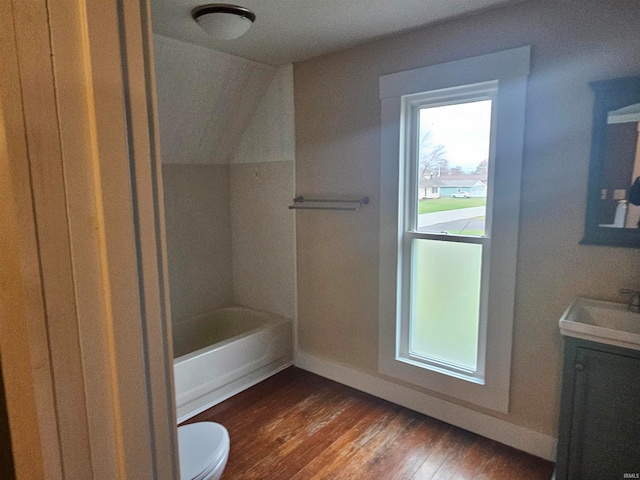 bathroom with vanity, hardwood / wood-style flooring, and toilet