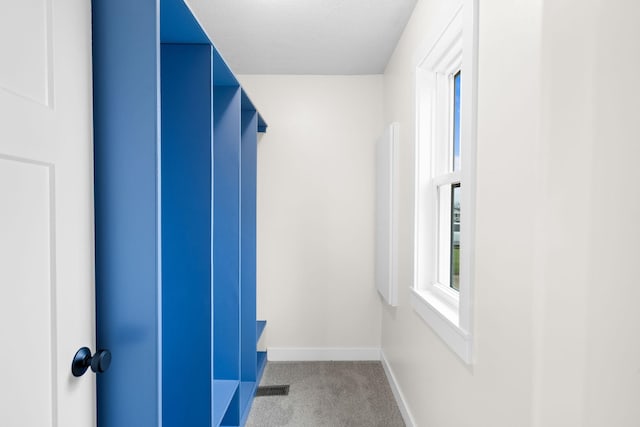 spacious closet featuring carpet flooring