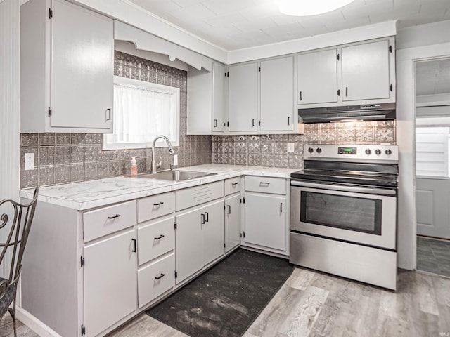 kitchen featuring dark hardwood / wood-style flooring, backsplash, stainless steel range with electric stovetop, and sink