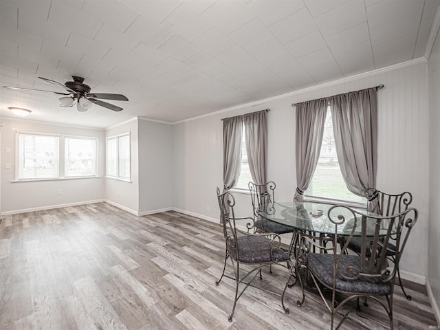 dining area featuring a healthy amount of sunlight, ceiling fan, light hardwood / wood-style floors, and ornamental molding