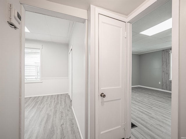 hallway featuring a paneled ceiling and light hardwood / wood-style floors