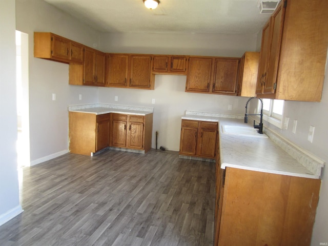 kitchen featuring dark hardwood / wood-style flooring and sink