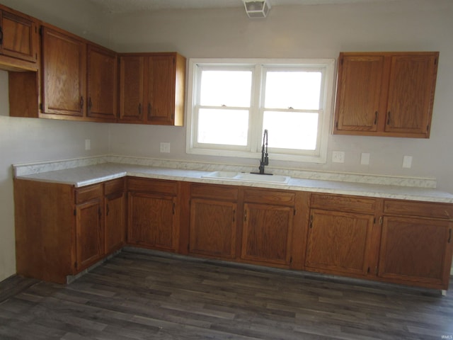 kitchen with dark hardwood / wood-style flooring and sink