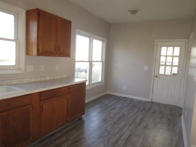 kitchen featuring plenty of natural light and dark hardwood / wood-style floors