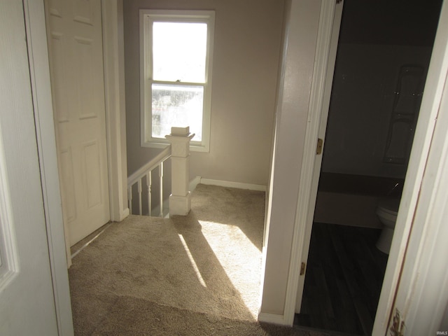 hallway featuring carpet floors