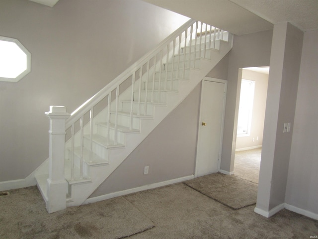 staircase with carpet floors