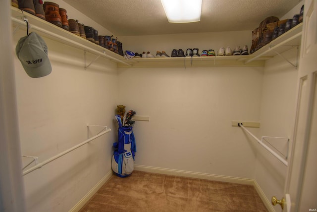 walk in closet with carpet