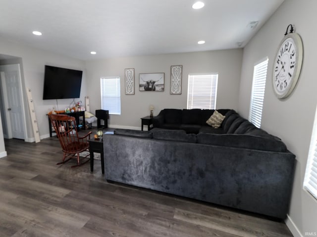 living room featuring dark hardwood / wood-style flooring