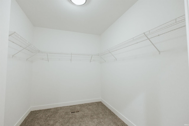 spacious closet featuring carpet flooring