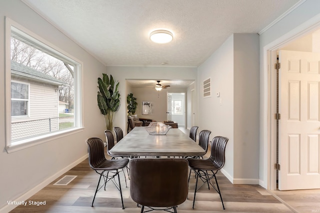 dining area with ceiling fan, crown molding, a textured ceiling, and light wood-type flooring