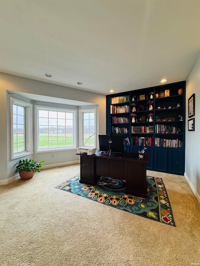 view of carpeted office