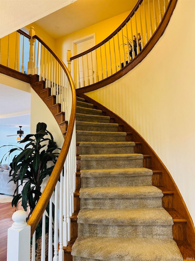 stairs featuring a towering ceiling and hardwood / wood-style flooring