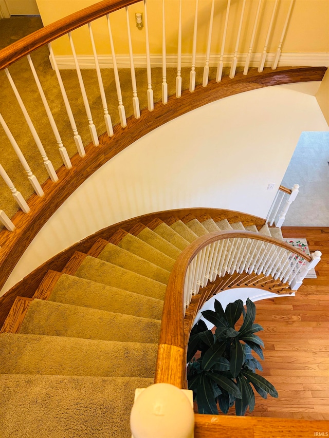 stairway with hardwood / wood-style flooring