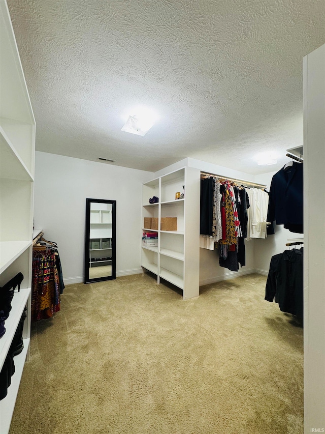 spacious closet with light carpet