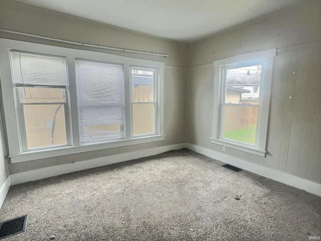 empty room with carpet and a wealth of natural light