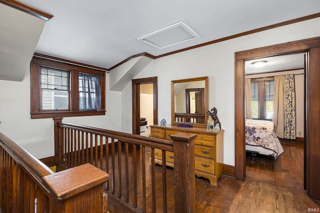 corridor with crown molding, dark wood-type flooring, and a wealth of natural light