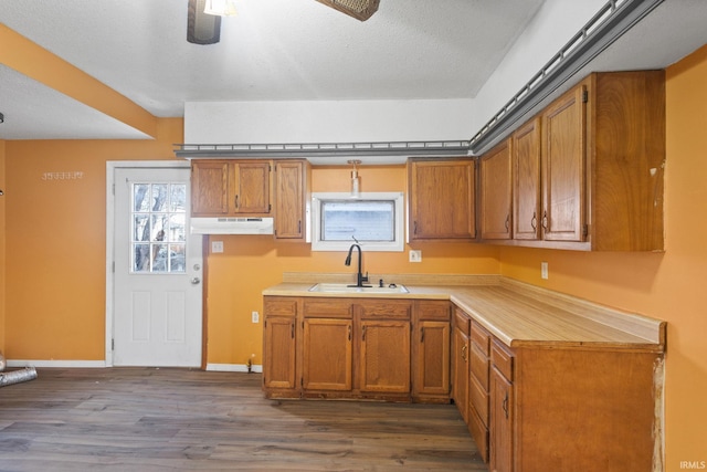 kitchen featuring a textured ceiling, dark hardwood / wood-style flooring, ceiling fan, and sink