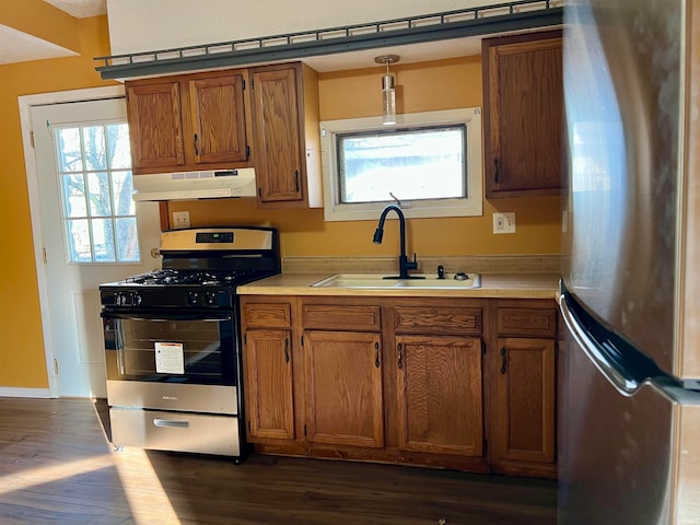 kitchen with hanging light fixtures, stainless steel appliances, dark hardwood / wood-style floors, and sink