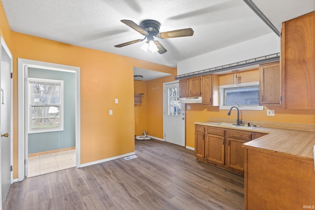 kitchen featuring a textured ceiling, plenty of natural light, sink, and light hardwood / wood-style flooring